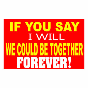 If You Say I Will - We Could Be Together Forever!
